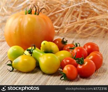 variety of tomatoes , close up