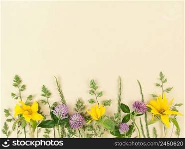 Variety of wildflowers on a beige background with copy space.. Variety of wildflowers on beige background with copy space.