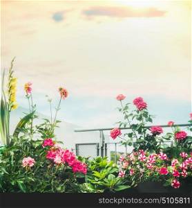 Various Beautiful balcony flowers at sky background, summer lifestyle