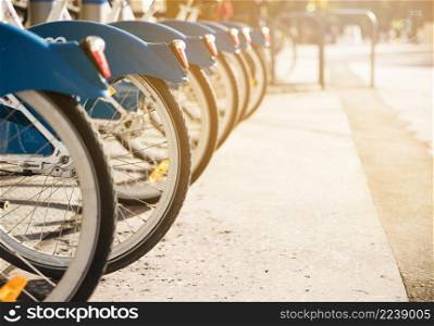 various bicycles rack sunlight available rent