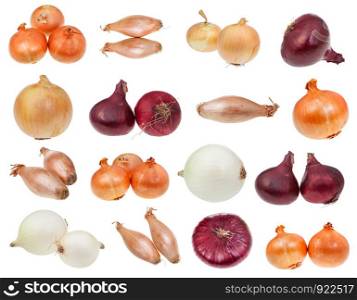 various bulb onions isolated on white background