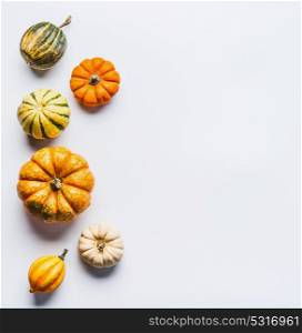 Various colorful little pumpkin on light background. Fall composing with pumpkin,top view, border