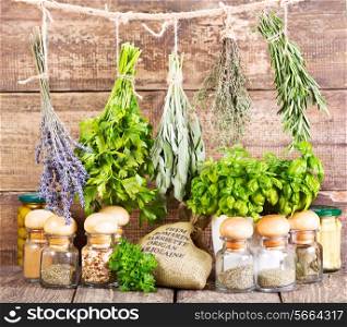 various fresh and dried herbs on wooden background