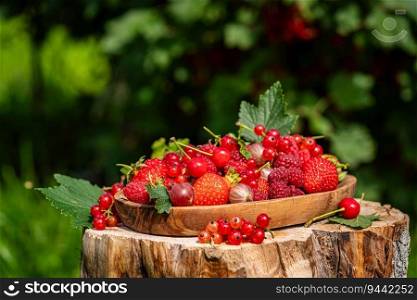 Various fresh berries on wooden plate. Mix of different fresh berries in a garden with green nature background. Strawberries, raspberries, gooseberries and cherries are presented.. Various fresh berries