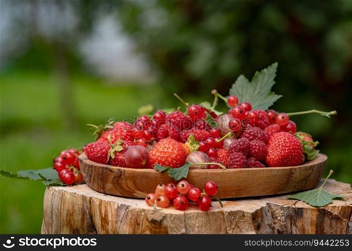 Various fresh berries on wooden plate. Mix of different fresh berries in a garden with green nature background. Strawberries, raspberries, gooseberries and cherries are presented.. Various fresh berries