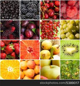 Various fruits and berries backgrounds collage from sixteen photos