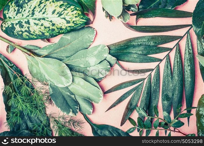 Various green nature leaves flat lay on pastel pink background, top view