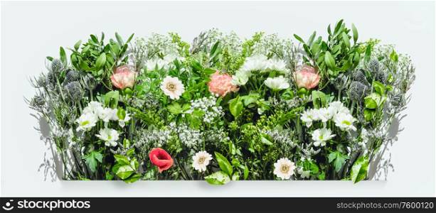 Various herbs and flowers border on white background. Nature and gardening