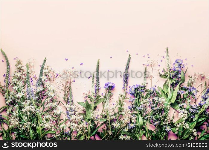 Various herbs and flowers on pink pale background, top view, floral border