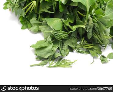 various herbs on white background
