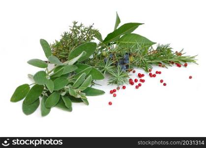 various herbs with red berries on white background
