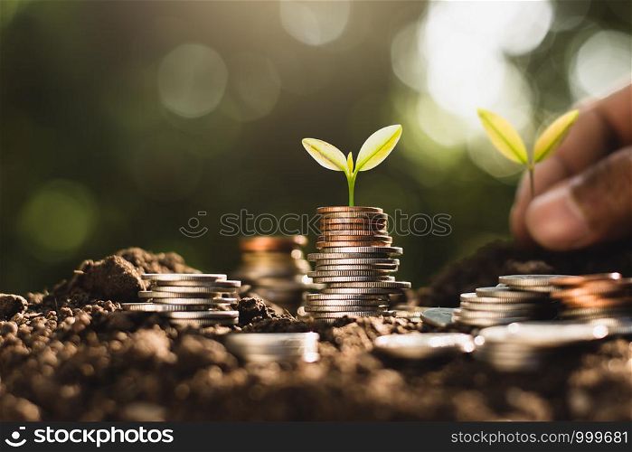 Various kinds of coins are stacked on top of the ground and there are growing seedlings on top, thinking about saving money for the future.