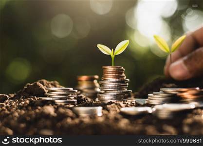 Various kinds of coins are stacked on top of the ground and there are growing seedlings on top, thinking about saving money for the future.