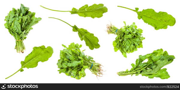 various leaves and bunches of caucasian cress (tsitsmati) plant isolated on white background