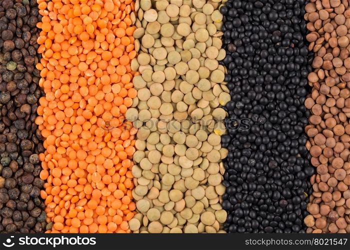 various legumes - red, black, yellow, green, brown lentils