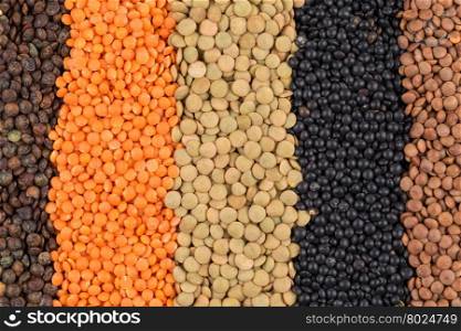 various legumes - red, black, yellow, green, brown lentils