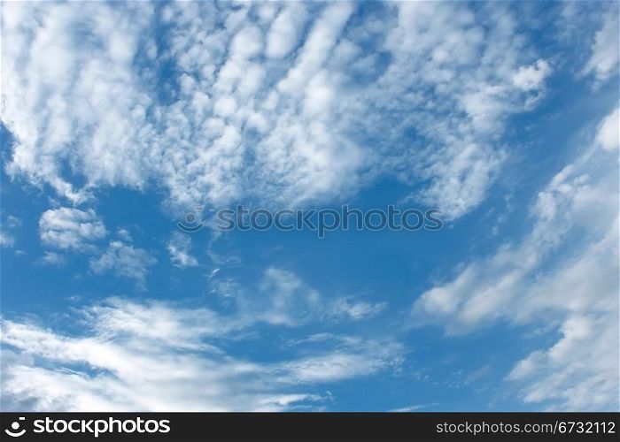 Various light clouds on the background of a blue sky