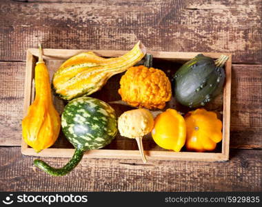 various pumpkins in wooden box