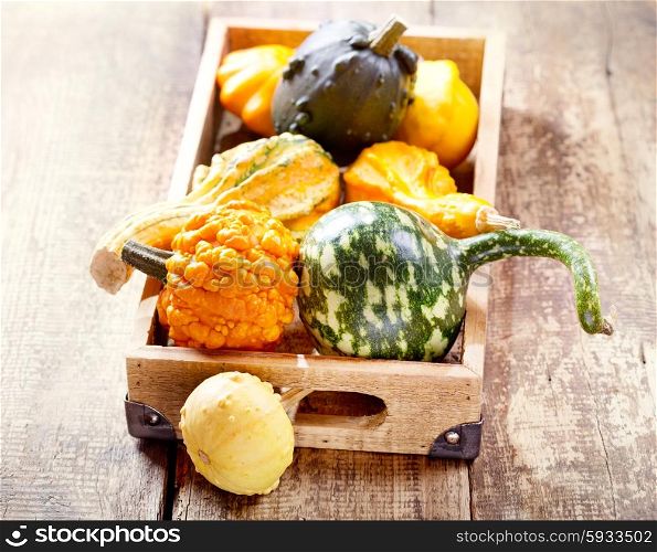 various pumpkins in wooden box
