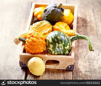 various pumpkins in wooden box