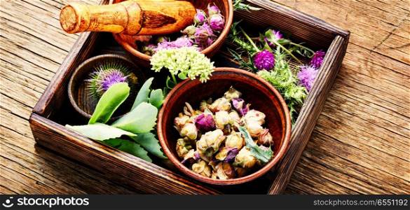 Various raw medical herbs and flowers.Alternative medicine concept.Herbal medicine. Set healing herbs