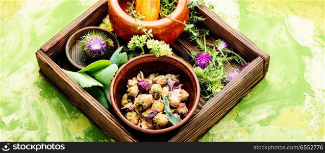 Various raw medical herbs and flowers.Alternative medicine concept. Herbs medicine flowers