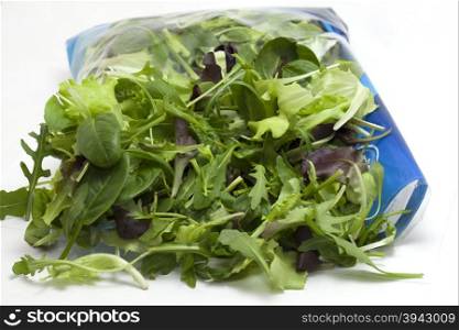 various seasonal salad packed
