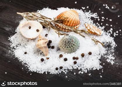 various shells and coarse grained Sea Salt and peppercorns on dark brown wooden board