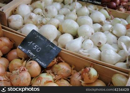 Various sorts of onions at a French market