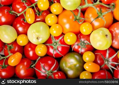 various tomatoes as background