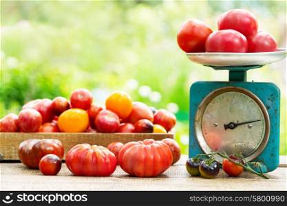 various tomatoes on wooden table