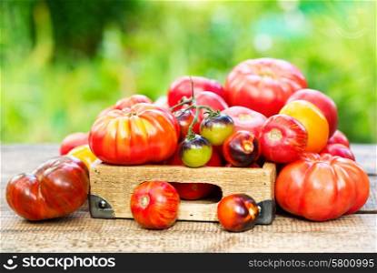 various tomatoes on wooden table