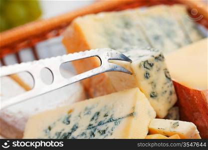 Various types of cheese close