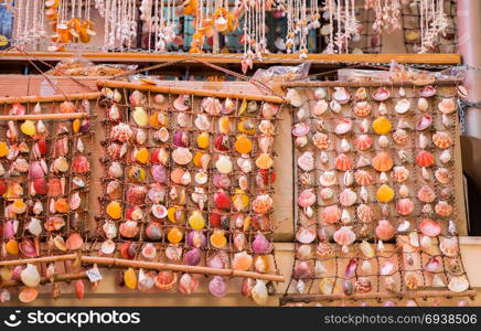 Various types of little colorful seashells