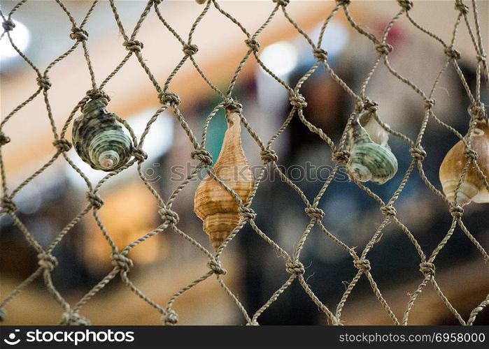 Various types of little seashells attached on a net. Various types of little seashells attached on the net