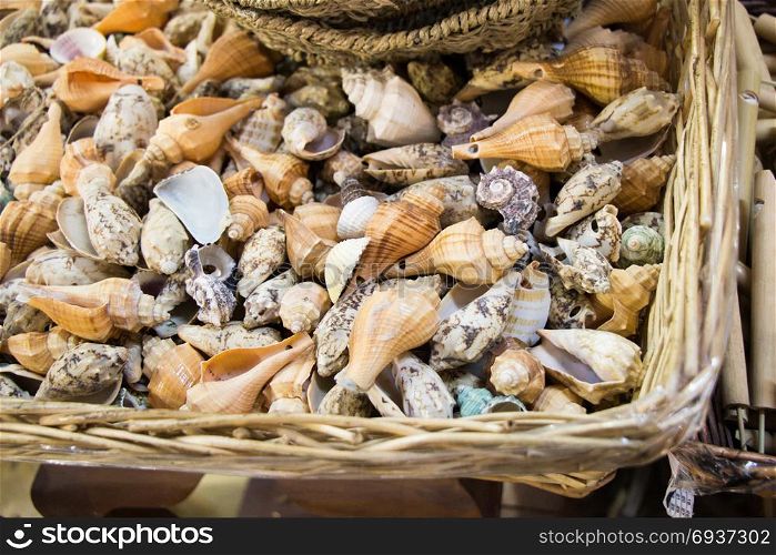 Various types of little seashells in a straw basket