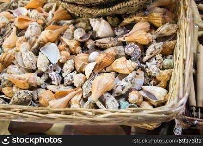 Various types of little seashells in a straw basket