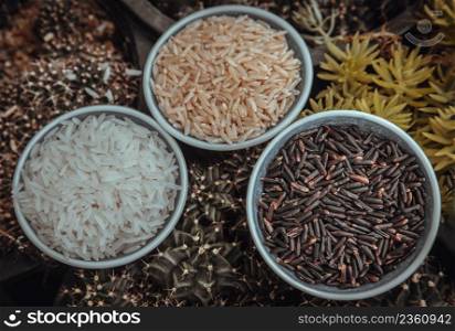 Various types of rice : Brown rice, Jasmine rice, Riceberry ceramic cup. Organic raw rice collection, Healthy food Selective focus.