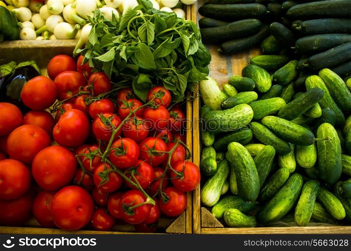 Various vegetables at the market
