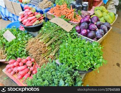 Various vegetables in fresh market