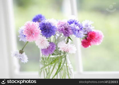 Vase of flowers