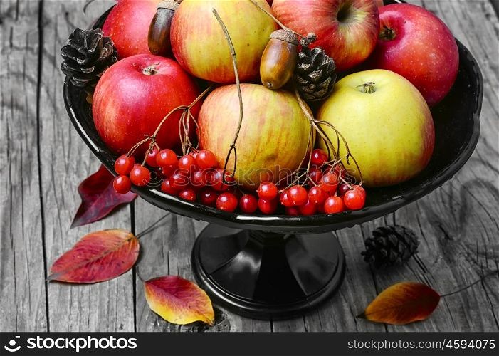 Vase with apples and rowan