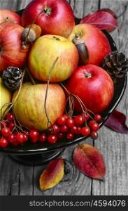 Vase with apples and rowan. Harvest of juicy autumn apples in vase for fruits