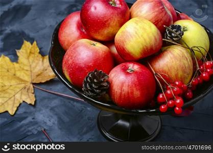 Vase with autumn apples. Autumn fruit of the Apple tree in vase on background with maple leaves