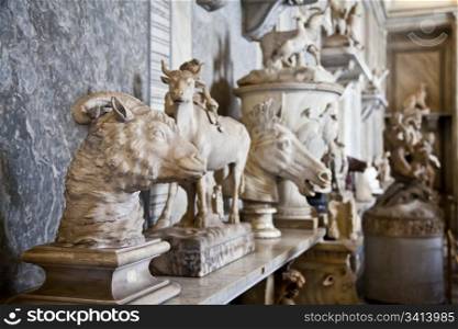 Vatican Museums, Rome, Italy: collection of statues