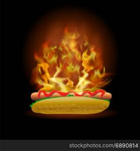 Vector Burning Fresh Hot Dog with Ketchup Isolated on Black Background. Vector Burning Fresh Hot Dog with Ketchup