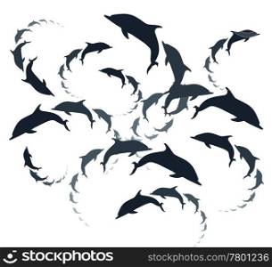 Vector dolphins background. Dolphins background
