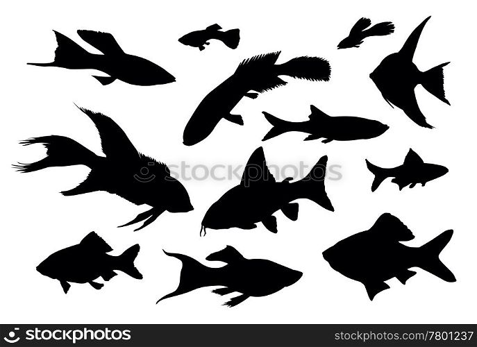 Vector fish silhouettes isolated. Fish collection