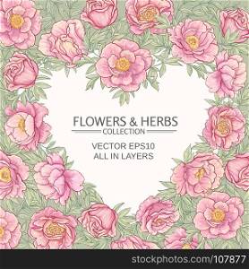 vector frame with peonies . vector frame with pink peonies