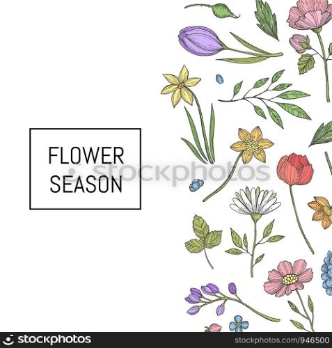 Vector hand drawn flowers background with place for text illustration. Vector hand drawn flowers background illustration banner